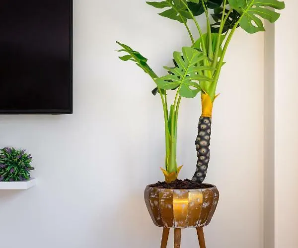 Oceanfront: Luxury Magnificent Views And Pool Lägenhet Olhão